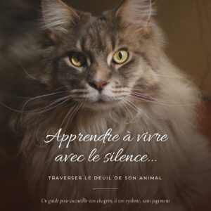 Guide du deuil animal : apprendre à vivre avec le silence
