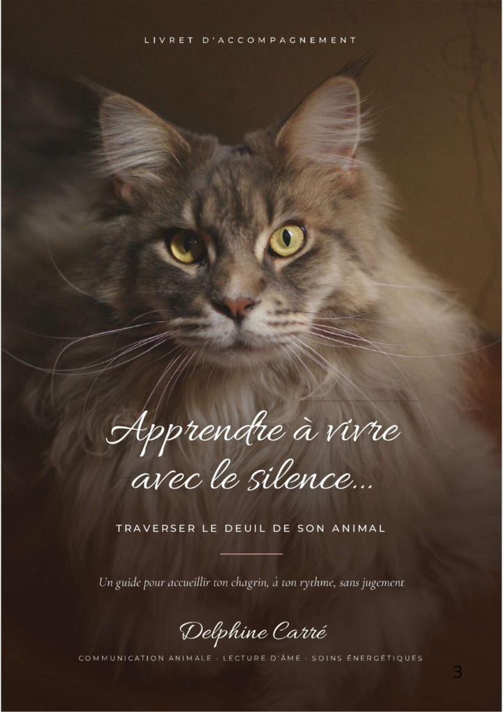guide pour le deuil animal, deuil animal, deuil animalier, perte d'un animal